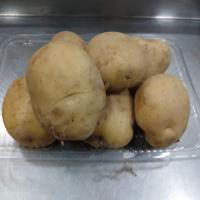 سیب زمینی ممتاز