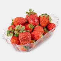 توت فرنگی گلخانهای