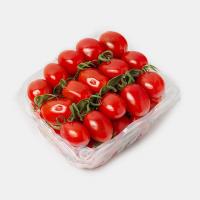 گوجه زیتونی جیرفت