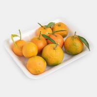 نارنگی یافا جنوب درجه 1