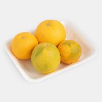 پرتقال جنوب درجه 1