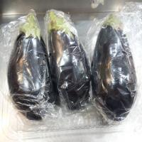 بادمجان لامپی