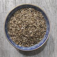 تخم خار مریم