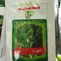 بذر شوید