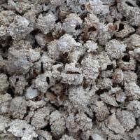 شکر تیغال