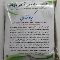 دمنوش گیاه زنان