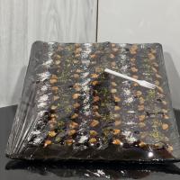 خرما گردو مخصوص