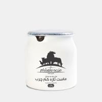 ماست پروبیوتیک کم‌چرب ماهشام