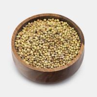پودر تخم گشنیز