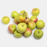 سیب گالا درجه 2