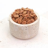 مغز هسته زردآلو