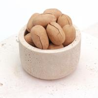 گردو پیکانو با پوست	