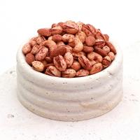 آجیل پول بیبر