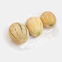 طالبی آبگیری