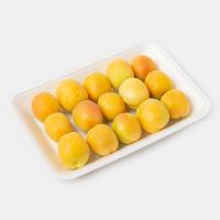 زردآلو درجه 1