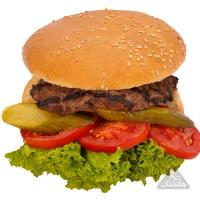 همبرگر ساده