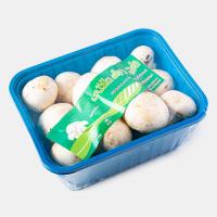 قارچ بسته بندی