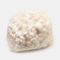 قارچ فله ای