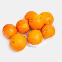 پرتقال تامسون درهم