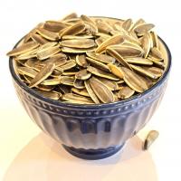 تخمه آفتابگردان دور سفید خام