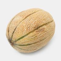 طالبی شاه پسند