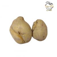 سیب زمینی بیل خورده