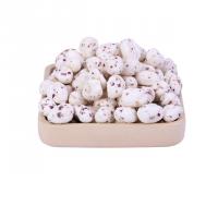 شکر پنیر با طعم گل محمدی