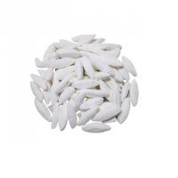 شکر پنیر با طعم نعنا