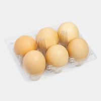 تخم مرغ دو زرده