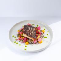 فيله ماهي سي بس بهمراه سالسا