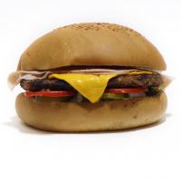 زغالی برگر مخصوص