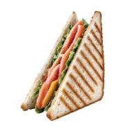 تست  بوقلمون