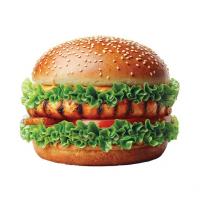 برگر فیله گریل کوچک