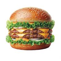 دبل چیز برگر کوچک