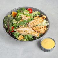 سالاد سزار با مرغ گریل