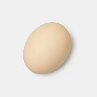 تخم مرغ دوزرده