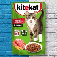 پوچ گربه کیت کت طعم گوشت گاو در ژله