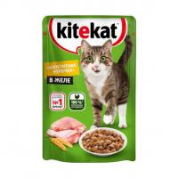 پوچ گربه بد اشتهای کیت کت طعم مرغ در ژله