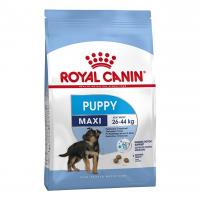 غذای خشک پاپی نژاد بزرگ رویال کنین مدل MAXI PUPPY 4kg