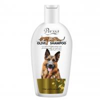 شامپو سگ و گربه پرسا رایحه زیتون