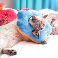 الیزابت سگ و گربه طرح دونات