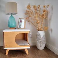 لانه چوبی سگ و گربه مدل ملوس