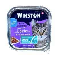 ووم گربه بالغ وینستون طعم ماهی سالمون