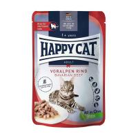 پوچ گربه عقیم شده هپی کت طعم گوشت گاو 85 گرم