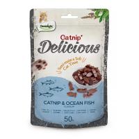 تشویقی نرم گربه دنتالایت طعم کتنیپ و ماهی اقیانوسی – 50 گرم