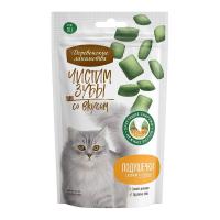 تشویقی دنتال مغزدار گربه کت فست Cat Fest با کرم مرغ 30 گرم