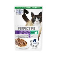 پوچ گربه پرفکت فیت مدل سلامت کلیه با طعم خرگوش در سس