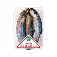 ماهی قزل آلا شکم خالی تازه