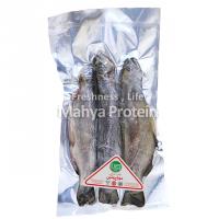 ماهی قزل آلا شکم خالی منجمد