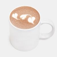 چاکلت فندقی